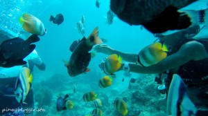 Helmet Diving @ Boracay Island, Aklan